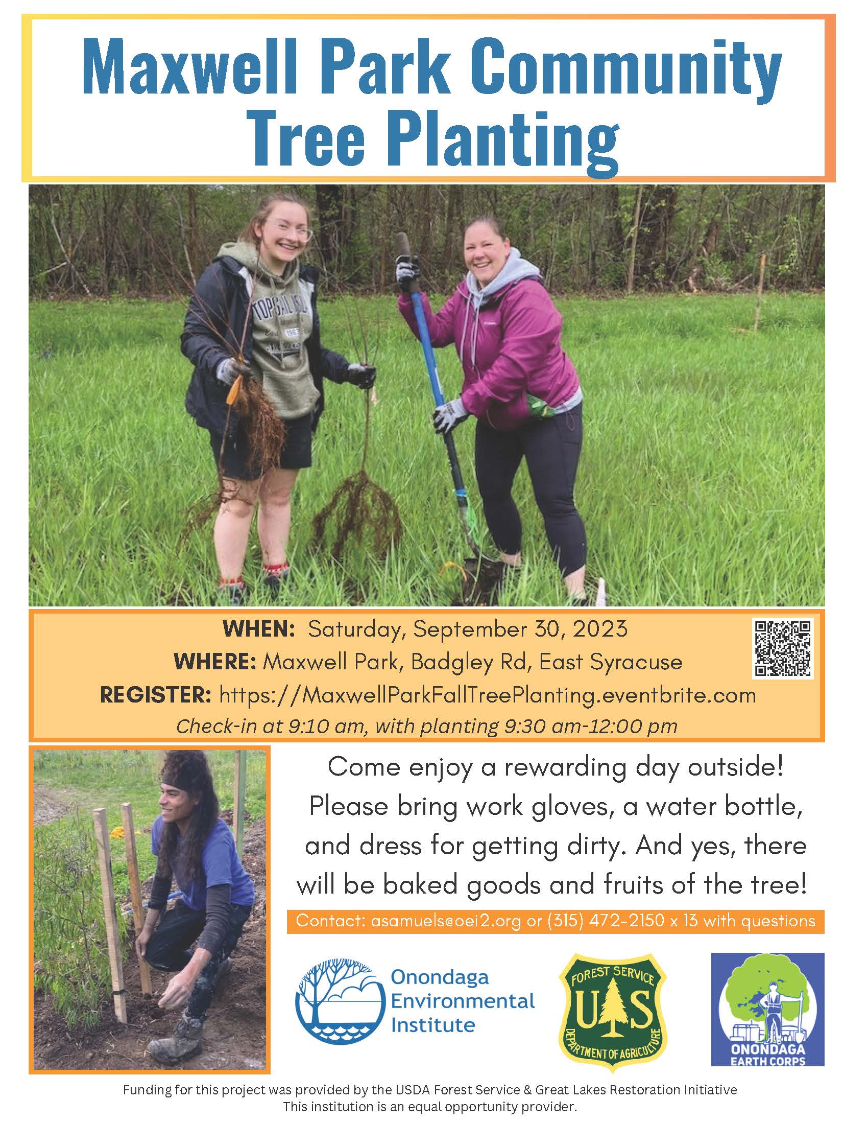 tree planting