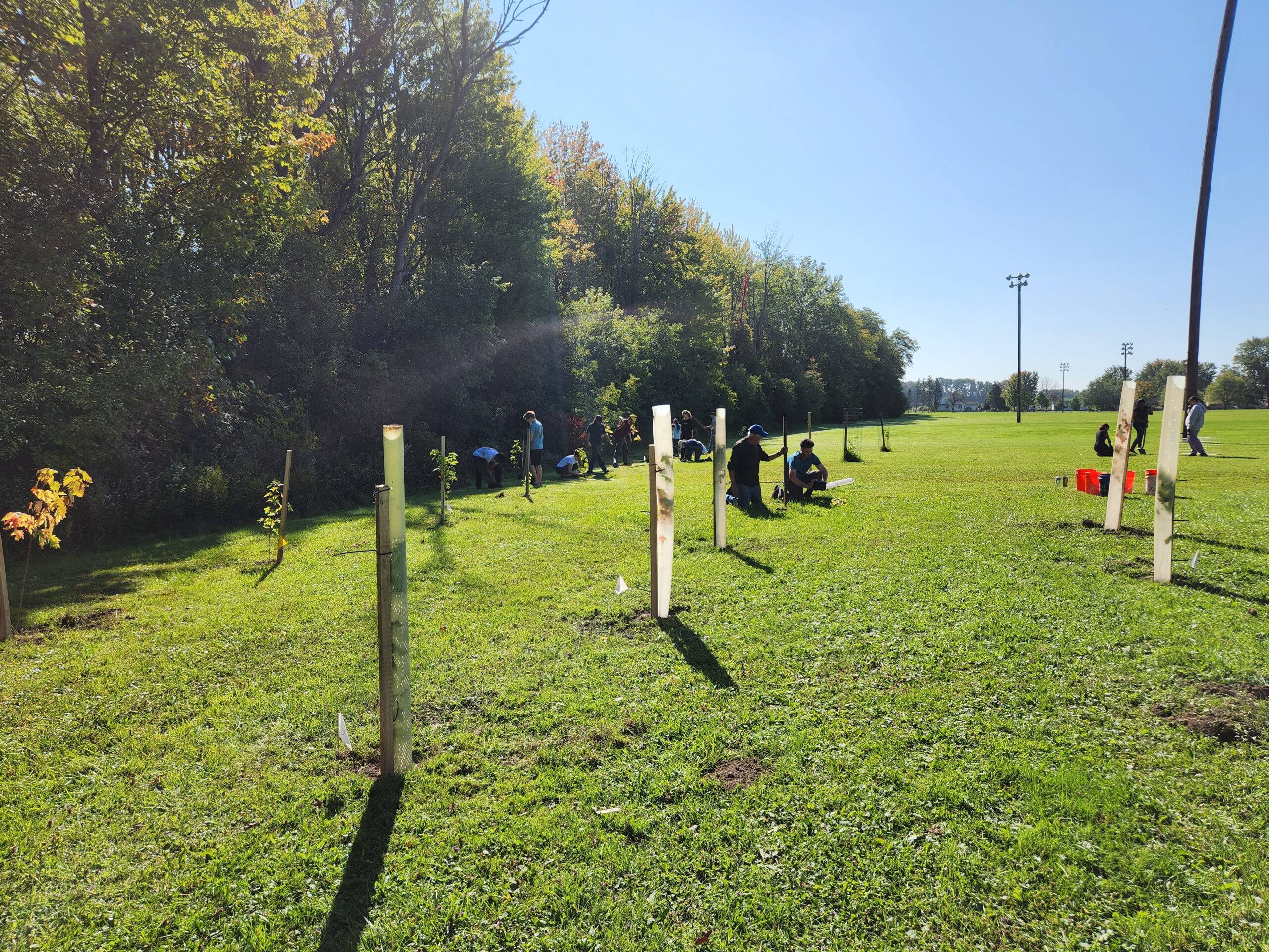 Ley Creek Tree Planting